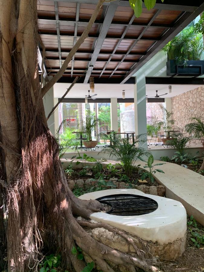 Treehouse Boutique Hotel, An Adults Only Boutique Hotel Mérida Exteriér fotografie